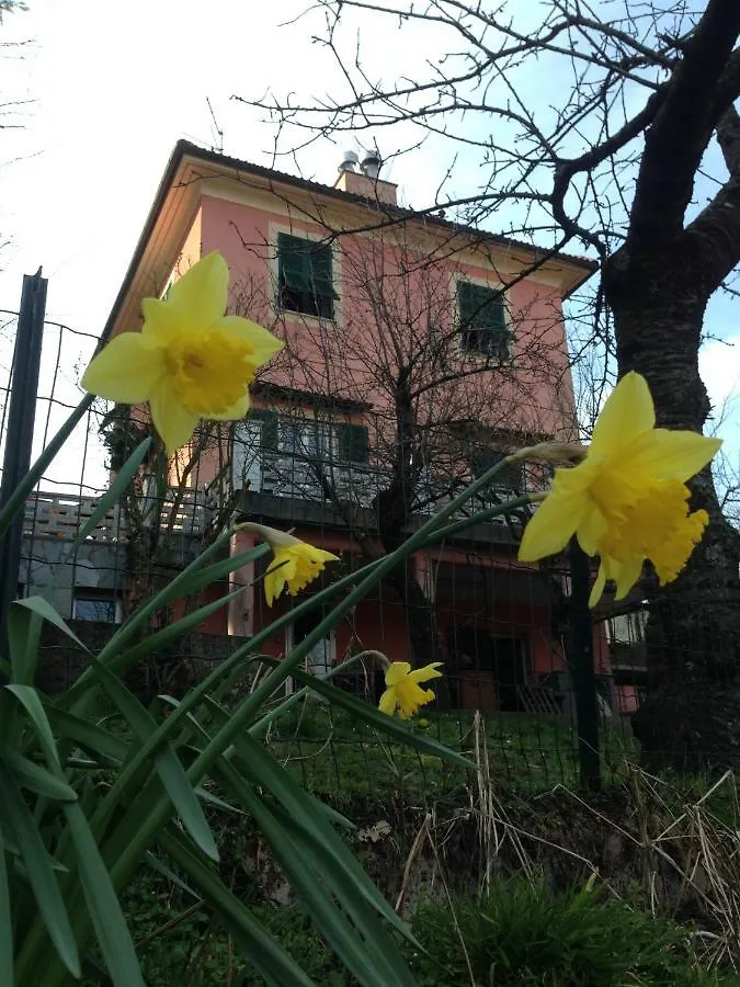 Kokopelli B&B Genoa