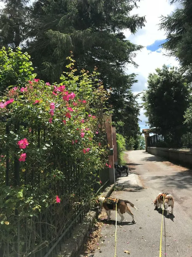 Kokopelli B&B Genoa